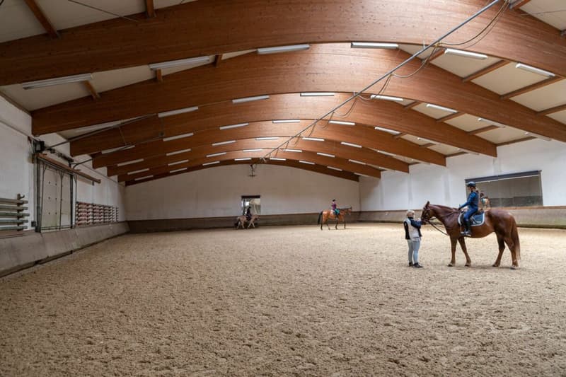 Reitsportimmobilie mit Wohnung/Einzelzimmer und Reitalle (3)