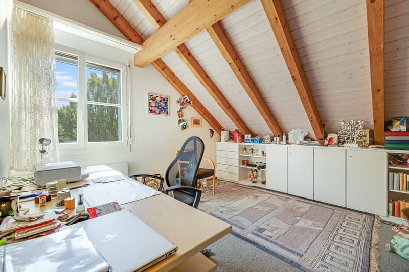 Traumhafte Dachwohnung an ruhiger Lage , Nahe vom Dorfzentrum (8)