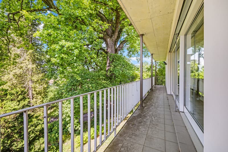 Einmaliges Anwesen auf 2'879 m² an bester Wohnlage (13)