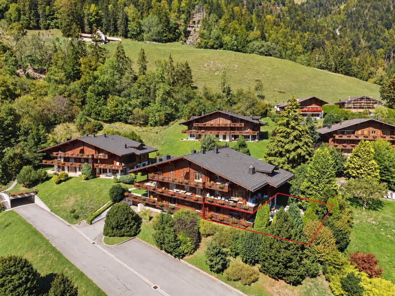Alpiner Wohntraum mit Panoramablick in Château-d'OEx (2)