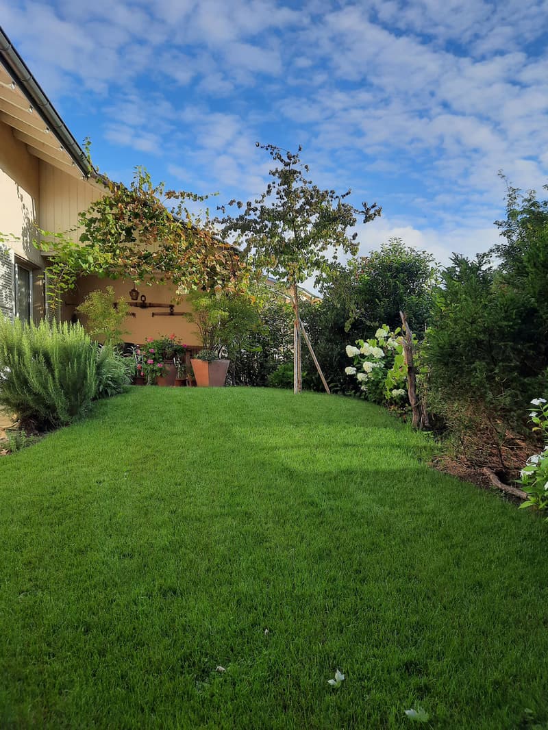 Sitzplatz / Garten
