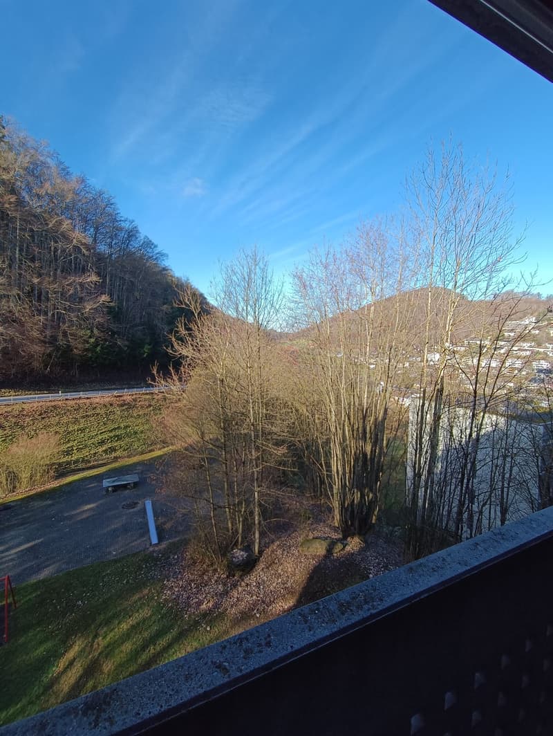 Appartement lumineux 4.5 pièces avec balcon et belle vue à Kehrsatz (9-401) (10)