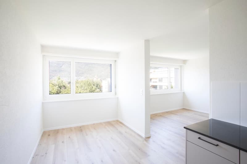 Helle 1.5-Zimmer-Wohnung im 4. Stock in Nidau – sofort verfügbar! (1)