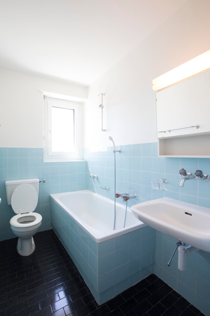 Helle 3-Zimmer-Wohnung im 16. Stock mit Balkon und Weitsicht in Nidau (11-1601) (9)