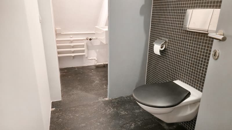 minimalistic bathroom with sink, toilet, toilet paper, white radiator, tile flooring