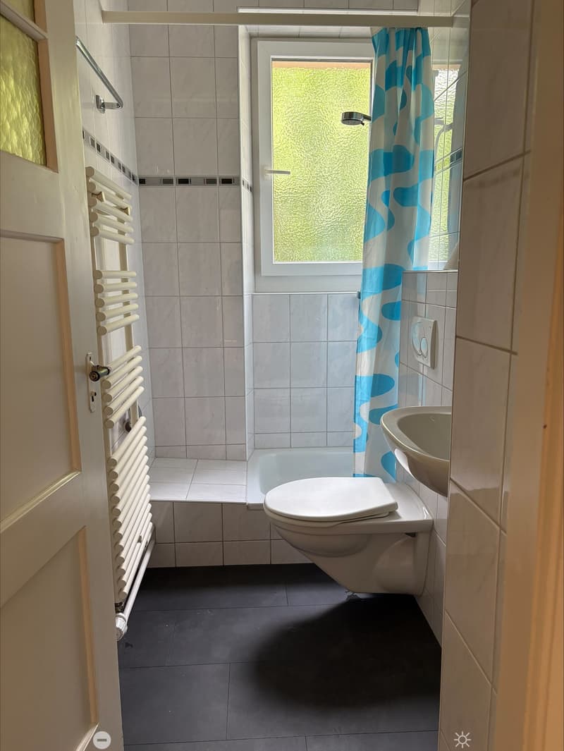Charmante 3-Zimmer-Wohnung im Erdgeschoss in Biel (4)