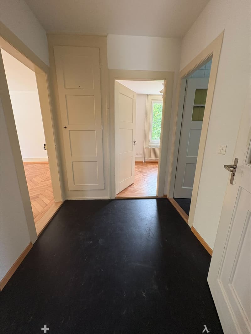 Charmante 3-Zimmer-Wohnung im Erdgeschoss in Biel (7)