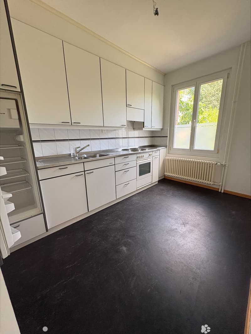 Charmante 3-Zimmer-Wohnung im Erdgeschoss in Biel (3)