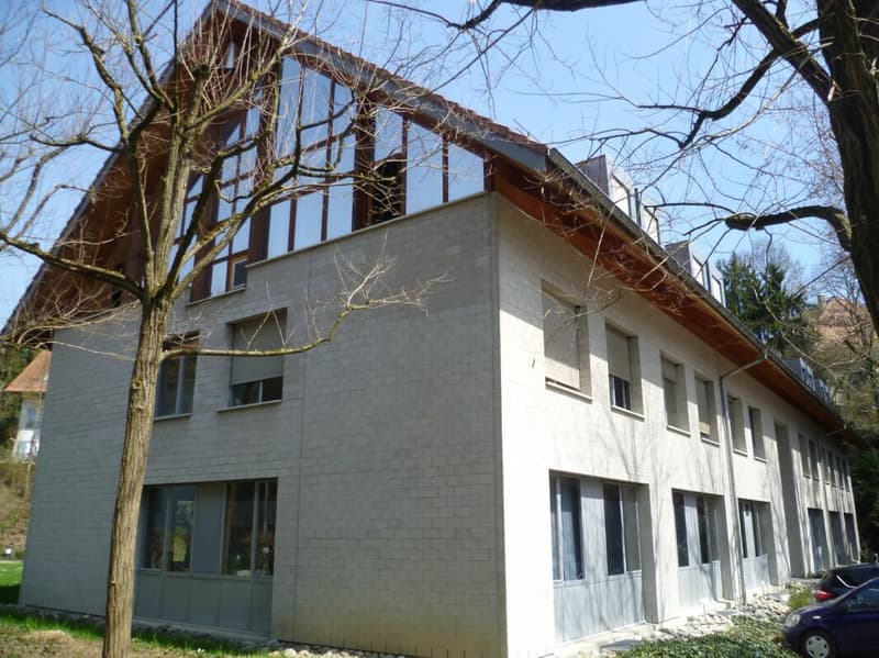 Seitenansicht (Dachgeschoss)