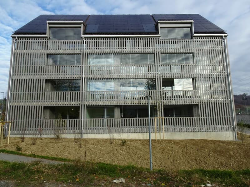 Moosgasse 4 Ansicht Balkone