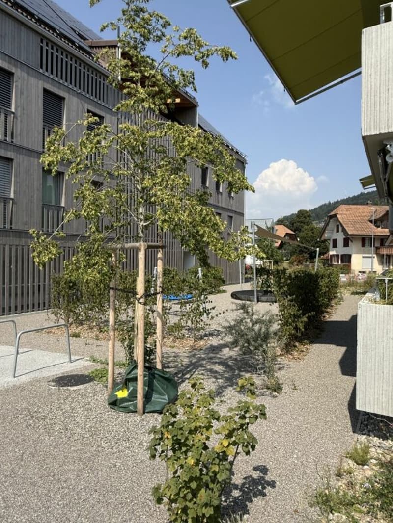 Umgebung / Spielplatz