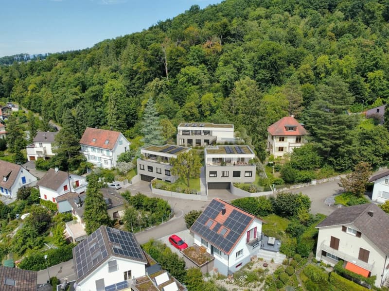 Wohnen mit Weitblick in Arlesheim, Freistehendes Einfamilienhaus, Nr. 2 (9)
