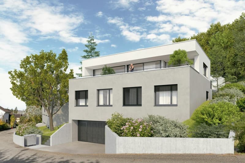 Wohnen mit Weitblick in Arlesheim, Freistehendes Einfamilienhaus, Nr. 2 (1)