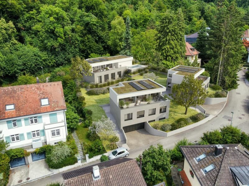 Wohnen mit Weitblick in Arlesheim, Freistehendes Einfamilienhaus, Nr. 2 (3)