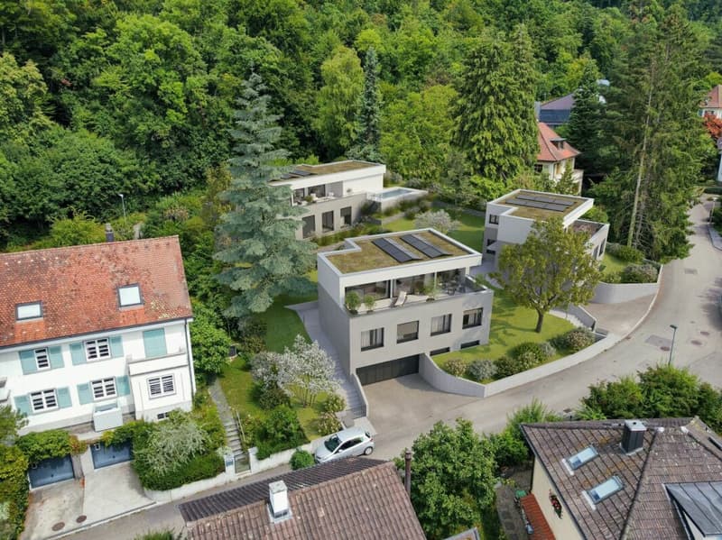 Wohnen mit Weitblick in Arlesheim, Freistehendes Einfamilienhaus, Nr. 2 (4)