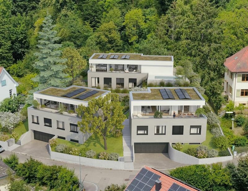 Häuser 1, 2 + 3 Ansicht Süd-West
