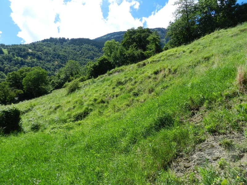 Terrain à bâtir surélevé au-dessus des toits de Naters (5)