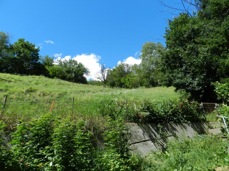 Terrain à bâtir surélevé au-dessus des toits de Naters (7)
