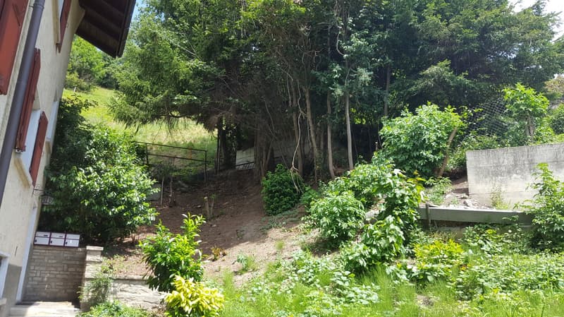 Terrain à bâtir surélevé au-dessus des toits de Naters (6)