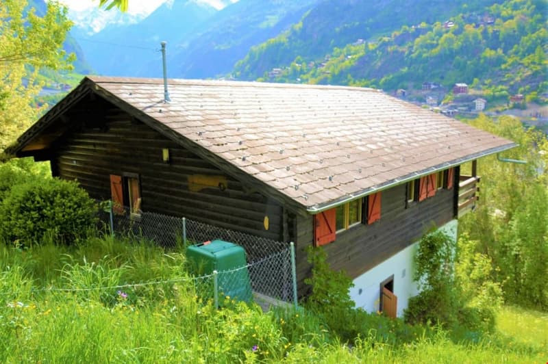 wooden house, brown roof, red shutters, surrounded by grass and plants, mountain view