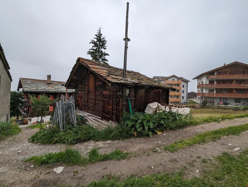 A wooden house with a rusty roof and a chimney, surrounded by plants and grass, with a large pole on its roof.