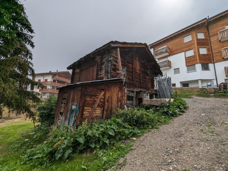 old wooden house, located at the end of a driveway, beside a modern building, surrounded by vegetation