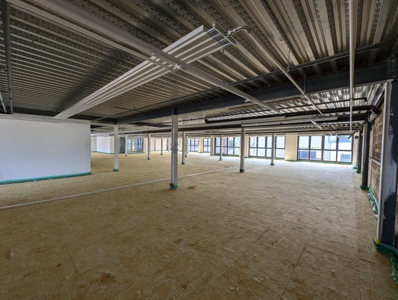Gewerbe- und Büroflächen im aufstrebenden Industriegebiet (7)