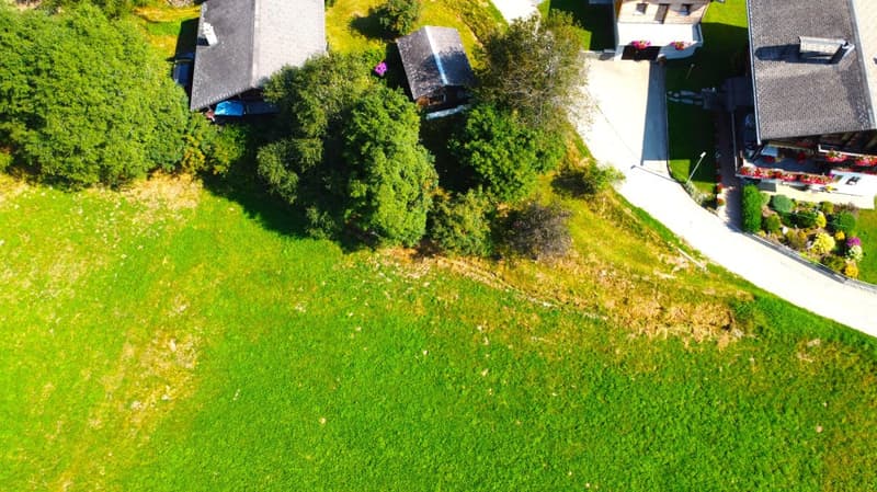 Unverbaubares Bauland am Waldesrand im Goms (14)