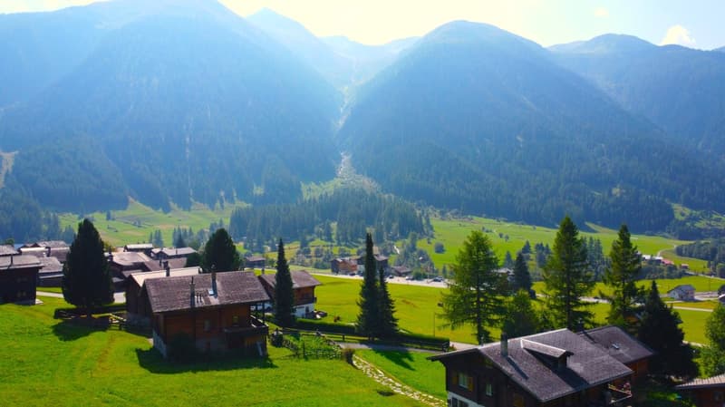 Unverbaubares Bauland am Waldesrand im Goms (16)
