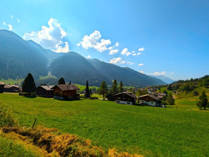 Unverbaubares Bauland am Waldesrand im Goms (2)