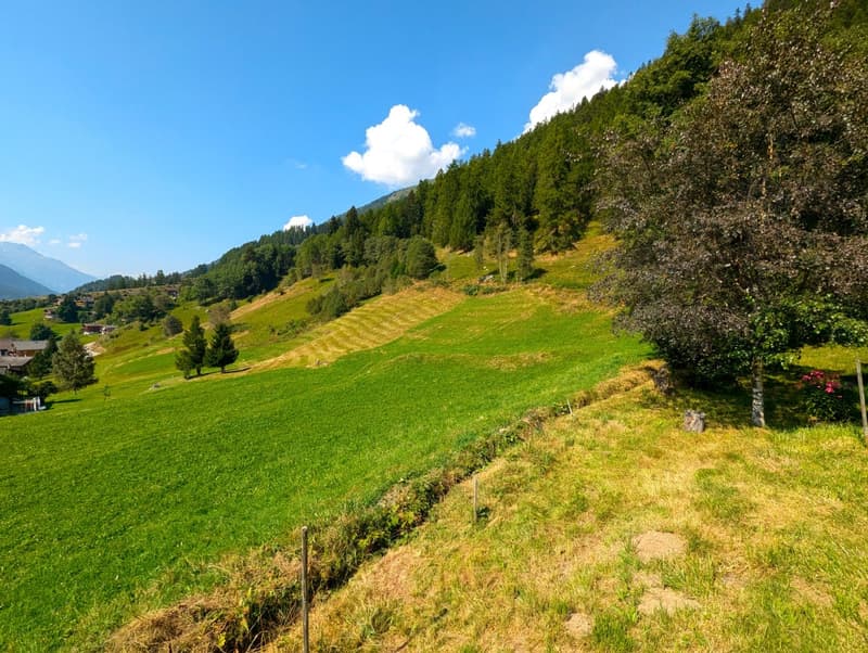 Unverbaubares Bauland am Waldesrand im Goms (4)
