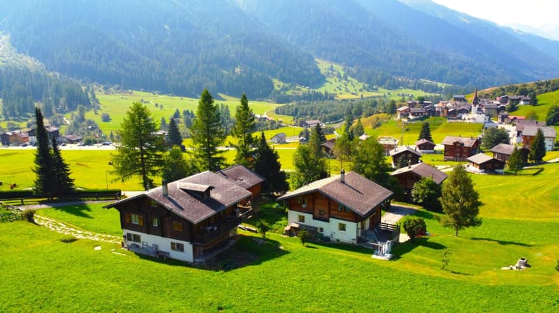 Unverbaubares Bauland am Waldesrand im Goms (15)