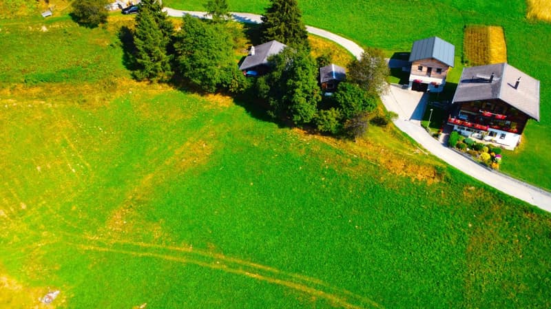 Unverbaubares Bauland am Waldesrand im Goms (13)