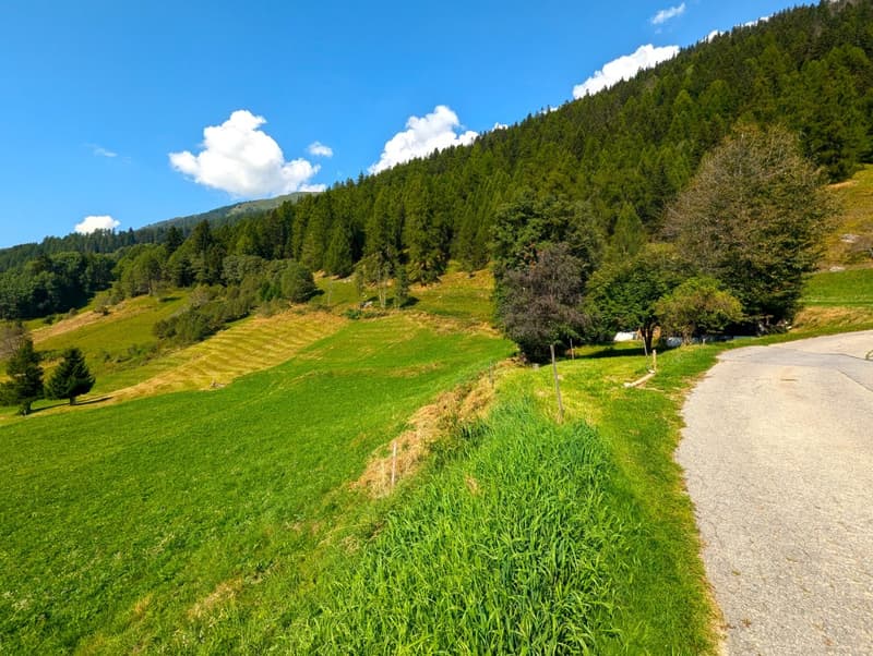 Unverbaubares Bauland am Waldesrand im Goms (7)