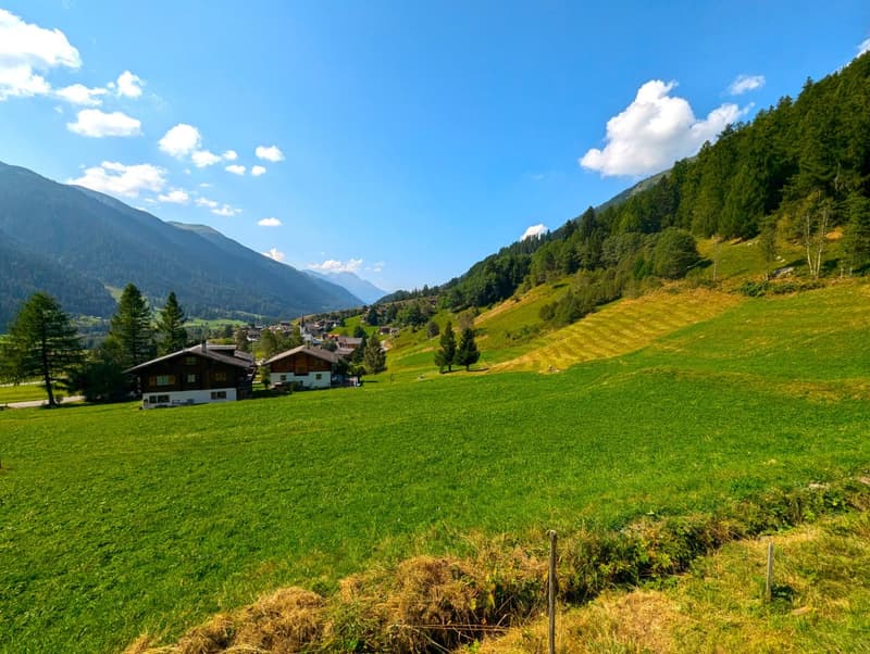 large open grassy area with several houses, wooded hillsides, mountains in the distance
