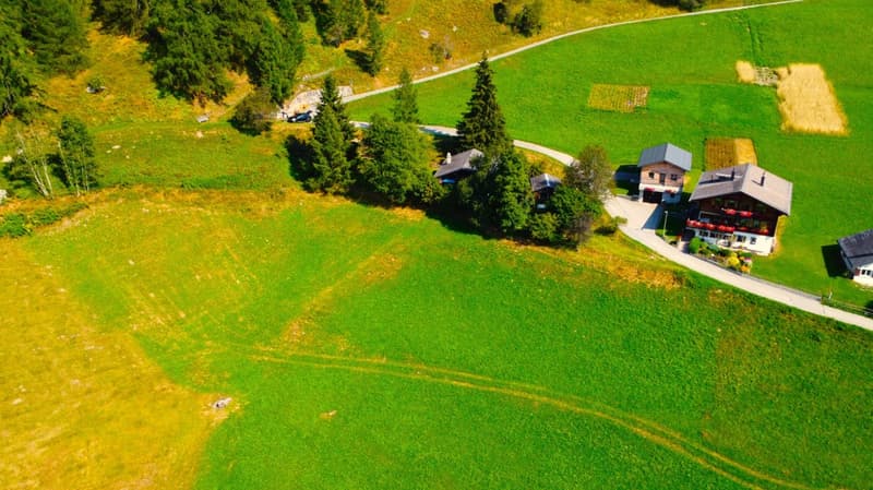 Rural area with small wooden houses and driveways.