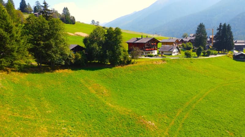 Small residential village, several wooden houses, surrounded by meadows, trees and mountains.