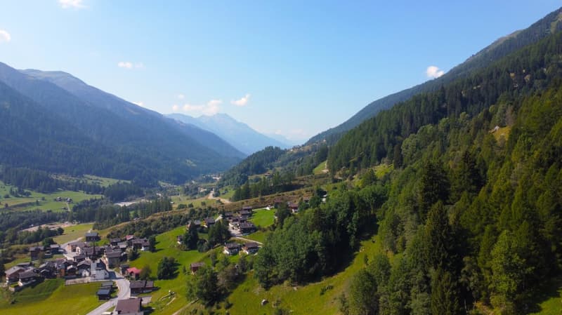 Unverbaubares Bauland am Waldesrand im Goms (10)