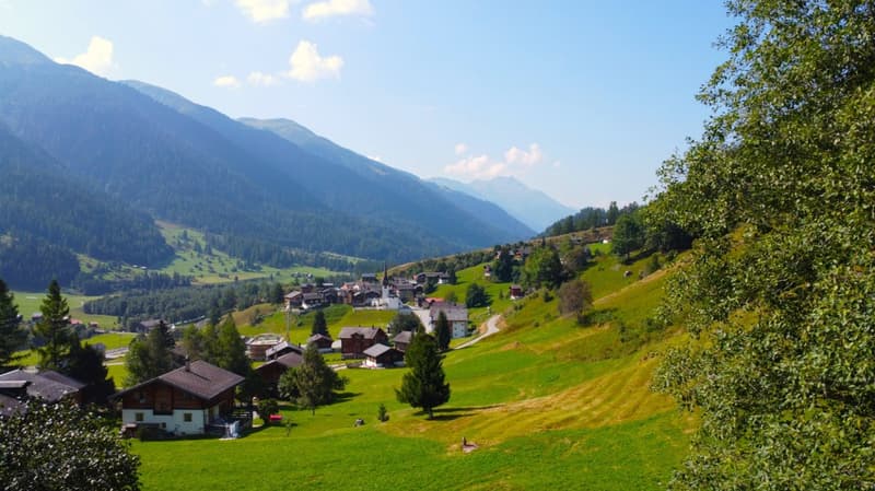 a hillside, several houses, mountains in the background, greenery