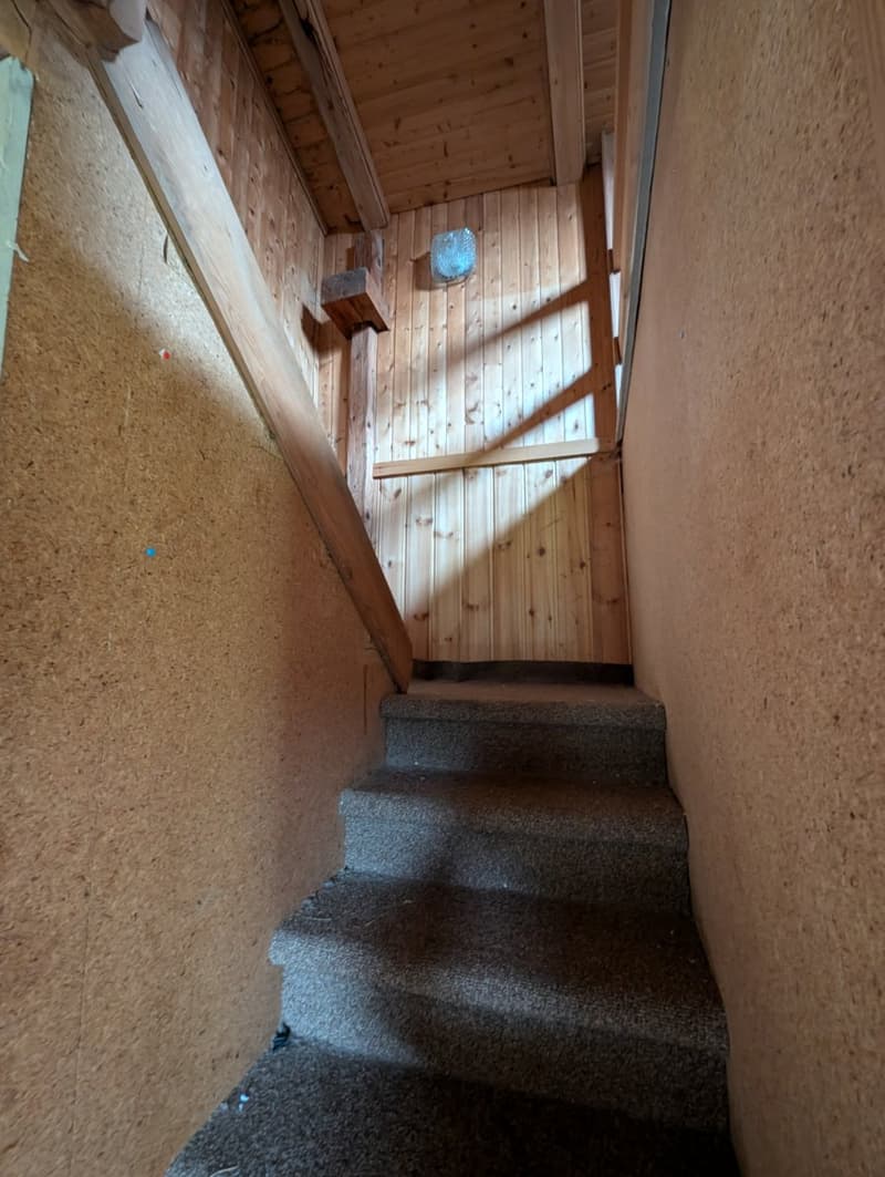 Häuschen in unverbaubarer Lage in der Aletscharena im Fieschertal (10)