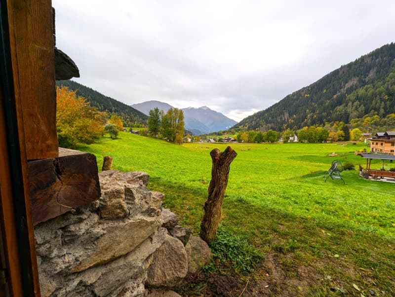 large meadow, stone wall, mountain view, trees