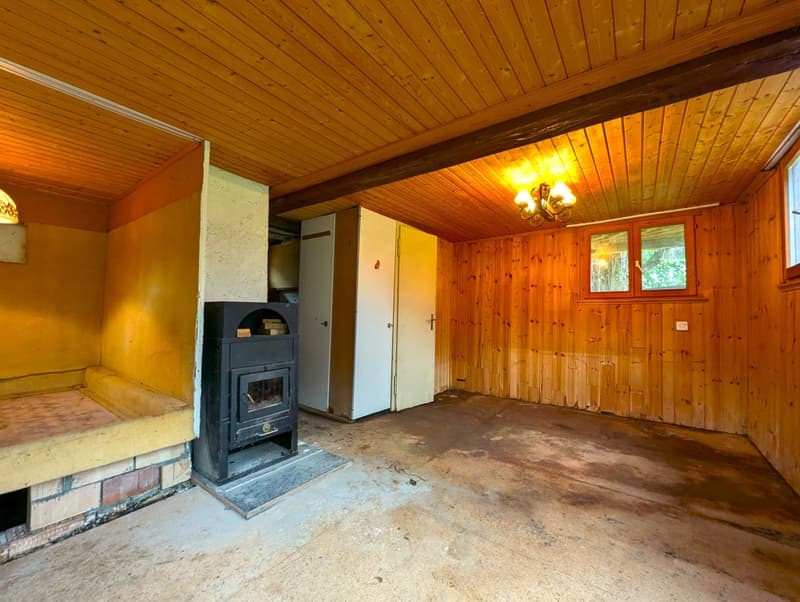 wooden walls, fireplace, windows, doors, wooden ceiling, tiled floor