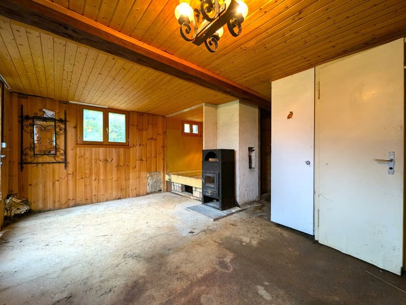 Häuschen in unverbaubarer Lage in der Aletscharena im Fieschertal (15)