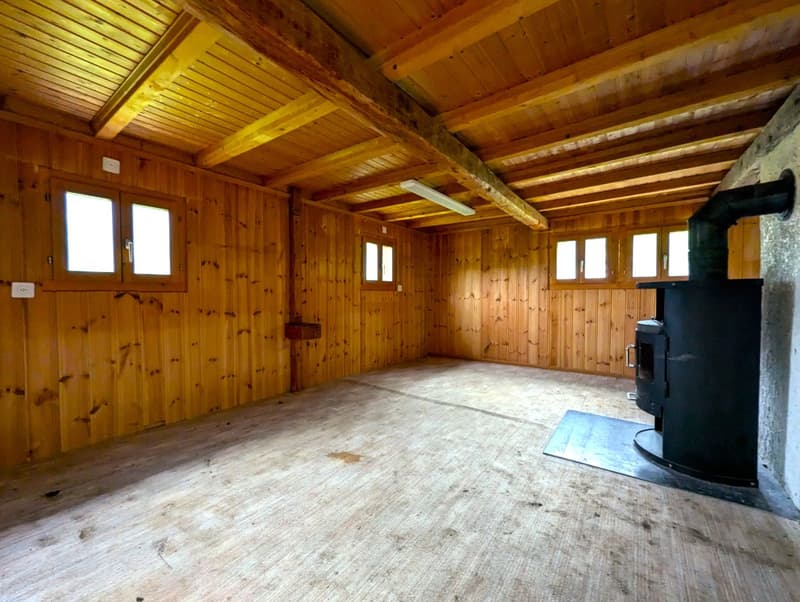 Empty room, wooden walls, wooden floor, 4 windows, fireplace