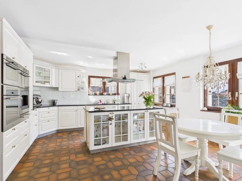White kitchen with modern appliances, large island with cabinets and shelves, dining table and chairs, chandelier, large windows
