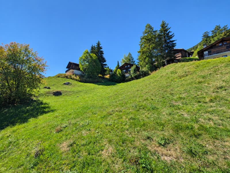 Idyllisches Bauland im Goms-Biel (4)