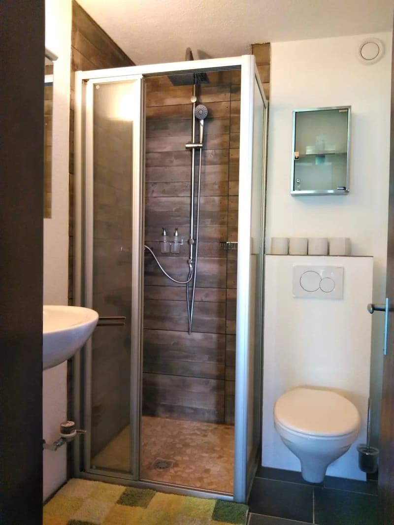 Charming small apartment in car-free Grächen (5)