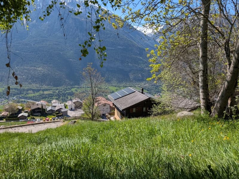 A wooden house with solar panels on the roof, surrounded by lush green grass and trees, with a scenic mountain landscape in the background.