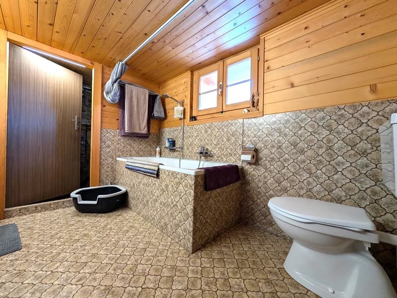 Rustic Valais House near Riederalp (8)