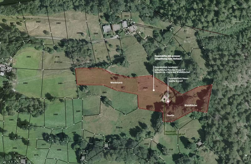 The image shows a land plot with a house, a large wooded area, and several other structures. The land plot is labeled 'Weideland' and has an area of 7,203 m2, with a house of 83 m2. There is also a 'Nachbars Haushälfte' (neighboring house half) of 98 m2.